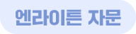 엔라이튼 자문